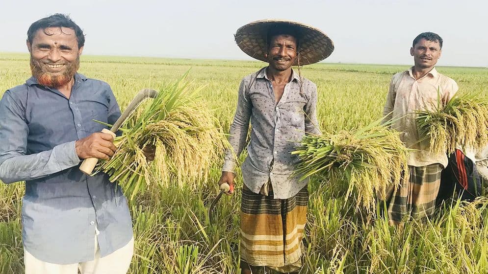 আড়াই লাখ টাকার কৃষি ঋণে লাগবে না সিআইবি চার্জ image